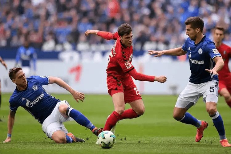 14德甲前瞻：弗赖堡主场迎战拜仁